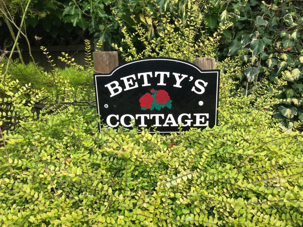 Betty'S Cottage - Traditional Norfolk Farm Cottage Swafield Экстерьер фото